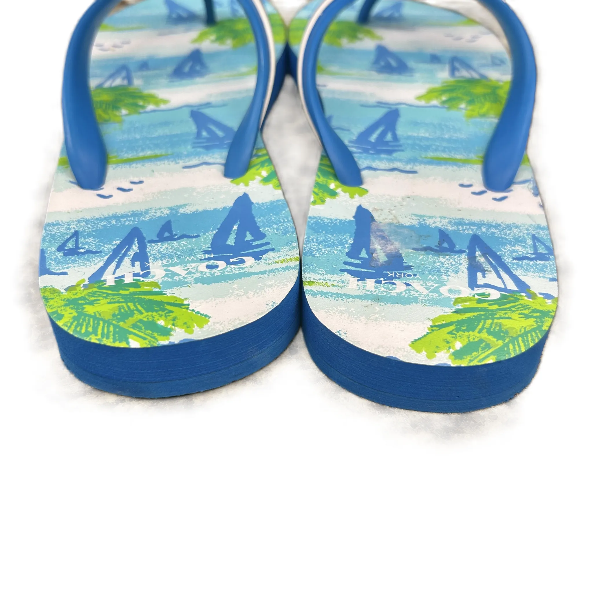 Blue & Green Sandals Designer By Coach, Size: 9