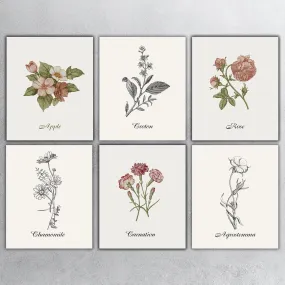 Vintage Floral Canvas Prints